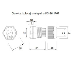 Dławik z przeciwnakrętką PG36 22-32 mm